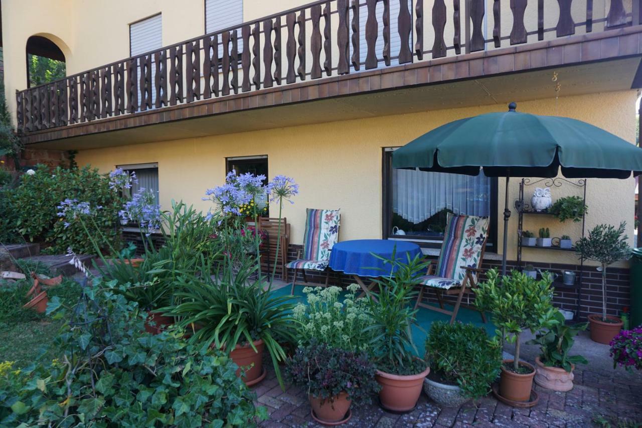 Juengstbergblick Apartment